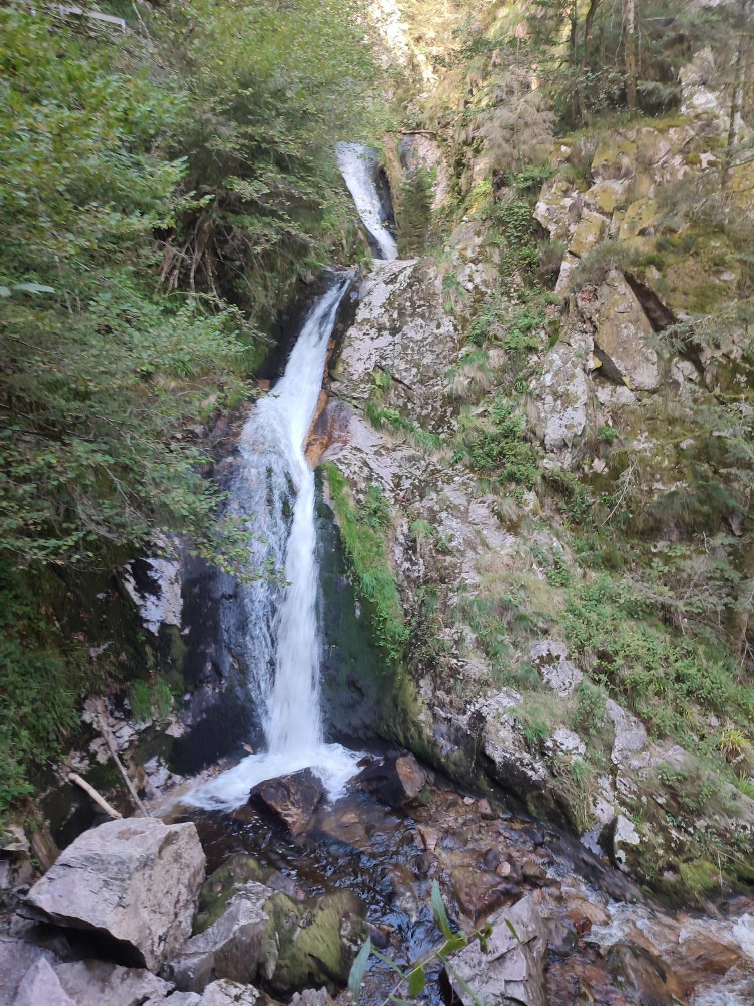 Ferienwohnungen Nordschwarzwald Фройденштадт Экстерьер фото