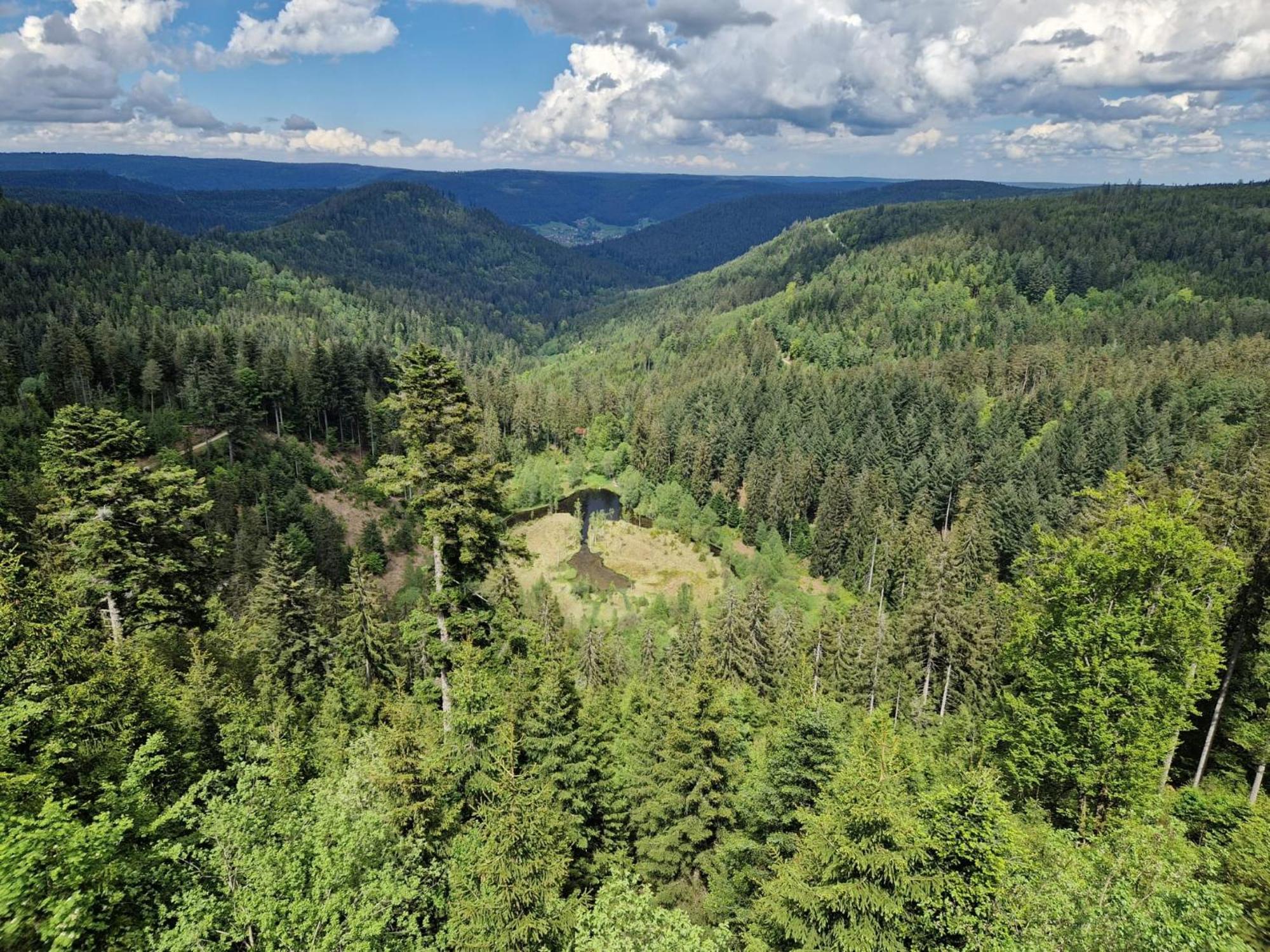 Ferienwohnungen Nordschwarzwald Фройденштадт Экстерьер фото